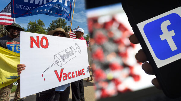 Facebook bans top US anti-vaccine group